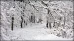 Qui è inverno ormai