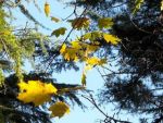 Come un temporale