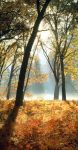 Un’ombra che mi fa luce