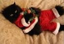 Natale a 4 "gambe"
