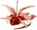Tumore latente... amore sbagliato