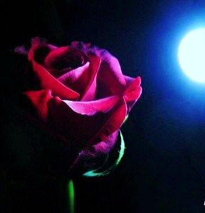 San Valentino