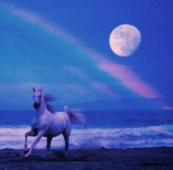 Cadranno le foglie alla luna