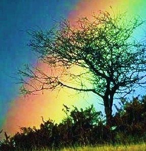 Arcobaleno
