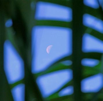 Nella luce che trema