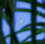Nella luce che trema