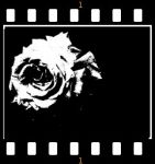 Impronte