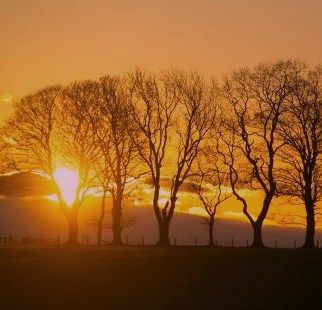 Ora che  l'alba