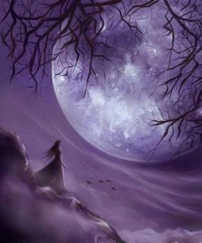 Notturno eterno