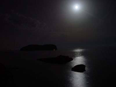 Notte