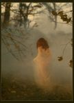 Nebbia  