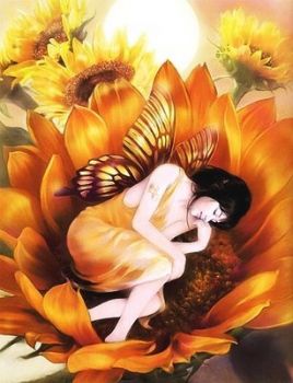 Girasole  