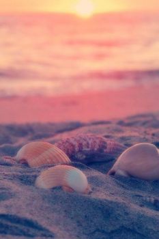 Il mare d’autunno