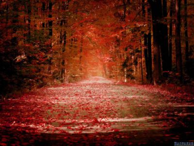 Foglie dautunno