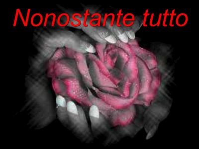 Nonostante tutto  