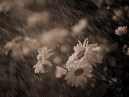 Gelide reminiscenze all'alba