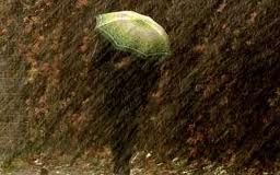Inquietudine d'autunno