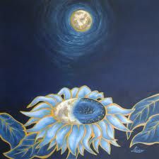 Ogni notte 