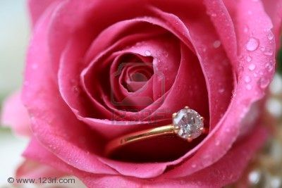 Lamore di una rosa