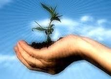 Fertilit d'amore
