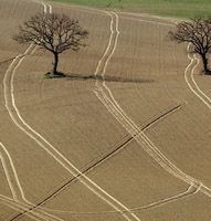 Terra incolta