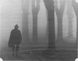 Brume silenti