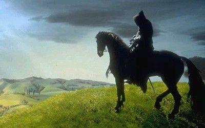 Cavaliere errante
