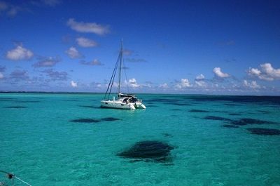 Quel cielo marino