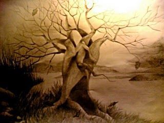 Albero Te