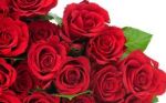 Rose per te, mamma!