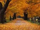 Immagini d'Autunno