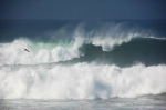 Lurlo del mare