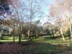 Annuncio di Primavera