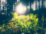 Oltre il sole