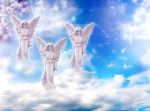 Gli Angeli in Festa