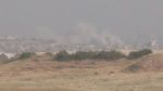 Il boccio di fiore di Gaza