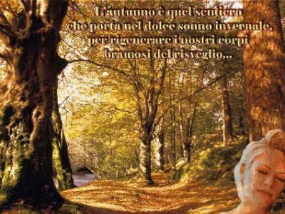 L'albero parla  
