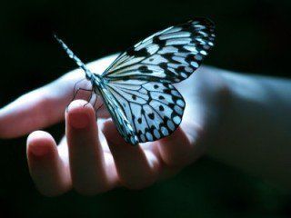 Vorrei essere come una farfalla