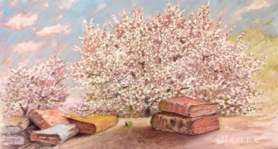 Libri da bisaccia