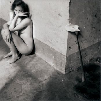 Violazione  