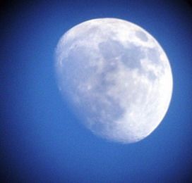 Chiaro di Luna