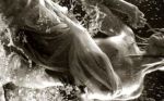 Percepire te