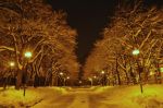 Vita e opere -un mondo di neve