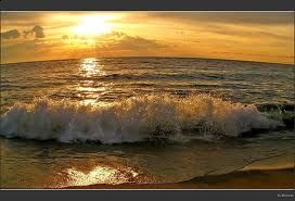L'odore del mare  