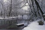 Spense L'inverno il Vento D'estate  