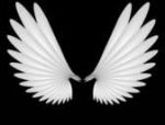 Anche gli angeli piangono