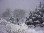 Pensieri innevati
