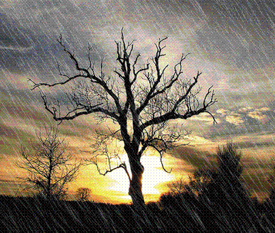 Piove  
