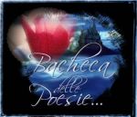 Poesia