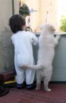 Grazie amico (virtuale e non)